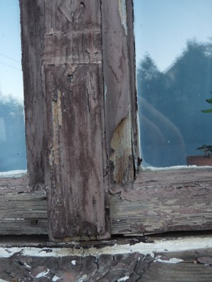 P1250194.JPG - small