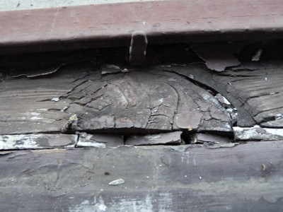 P1250207.JPG - small