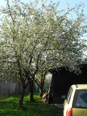 P1300033.JPG - small