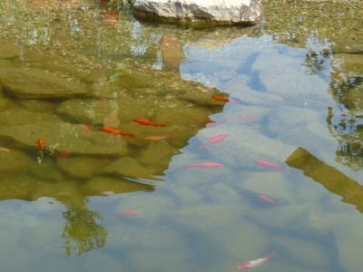 P1300661.JPG - small