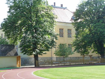 P1300669.JPG - small