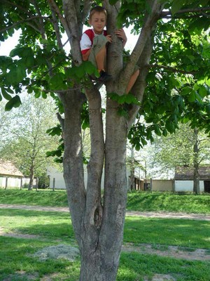 P1300116.JPG - small