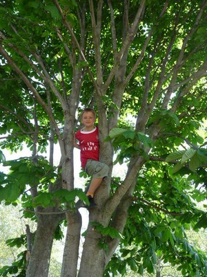 P1300117.JPG - small