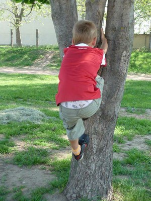 P1300126.JPG - small