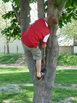 P1300129.JPG - small