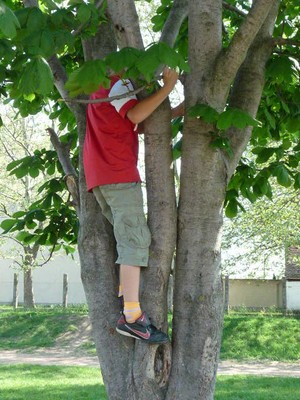 P1300130.JPG - small