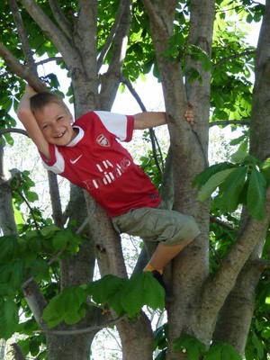 P1300132.JPG - small