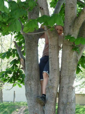 P1300134.JPG - small