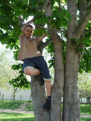 P1300135.JPG - small