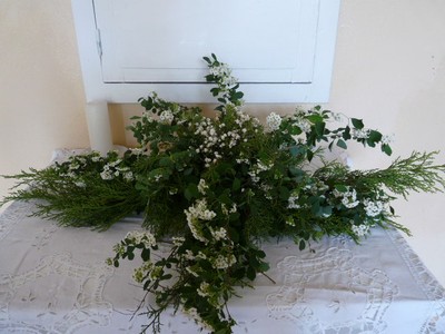 P1300136.JPG - small