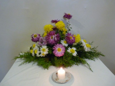 P1350842.JPG - small