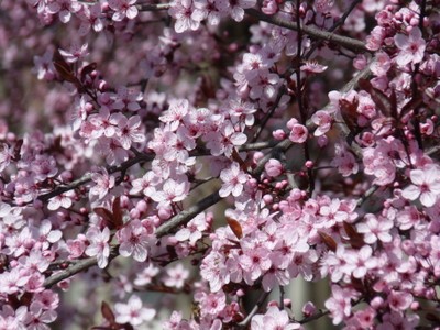 P1380440.JPG - small