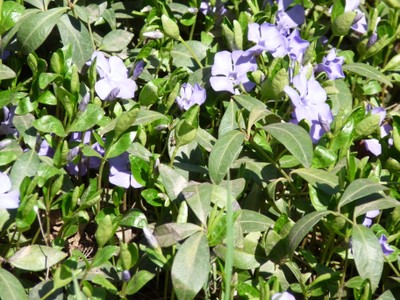 P1380443.JPG - small