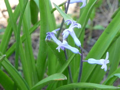 P1380444.JPG - small