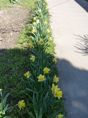 P1380445.JPG - small