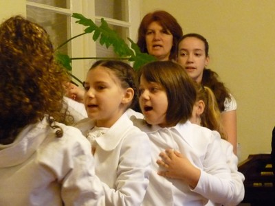 P1380155.JPG - small