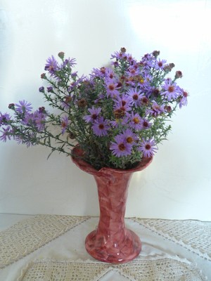 P1480127.JPG - small