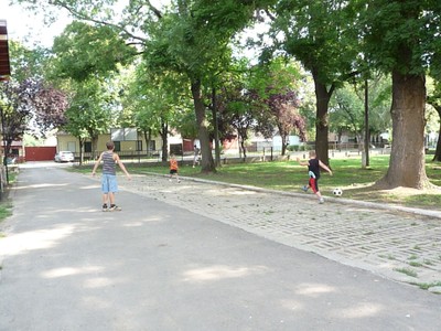 P1600350.JPG - small