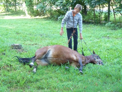 P1610269.JPG - small