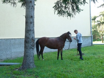 P1610273.JPG - small