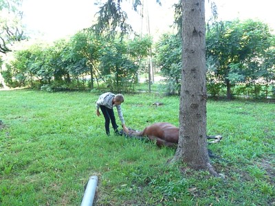 P1610277.JPG - small