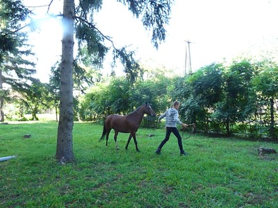 P1610283.JPG - small