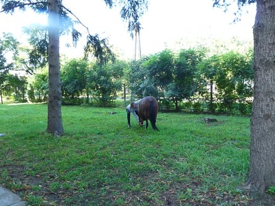 P1610284.JPG - small