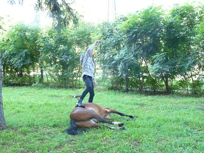 P1610294.JPG - small