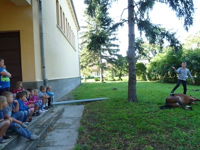 P1610298.JPG - small