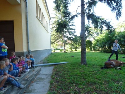 P1610299.JPG - small