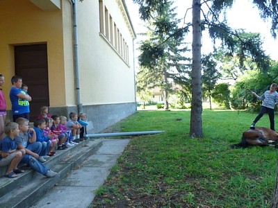 P1610300.JPG - small