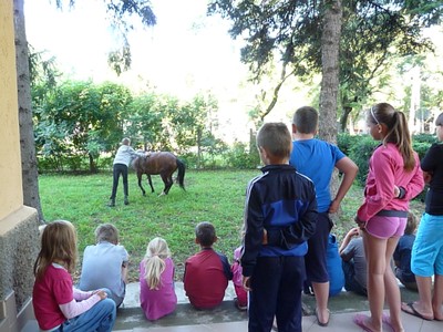 P1610302.JPG - small