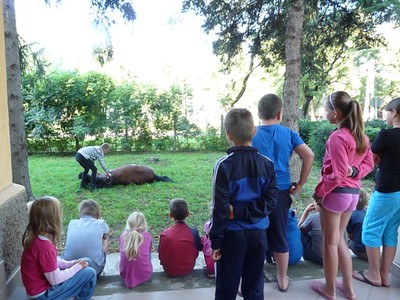 P1610305.JPG - small