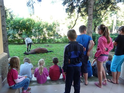 P1610306.JPG - small