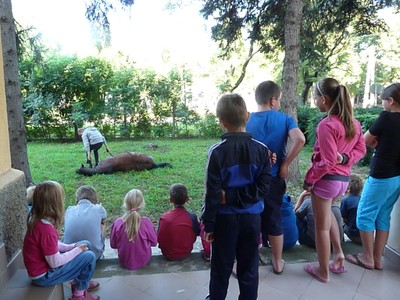 P1610307.JPG - small