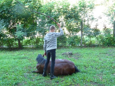 P1610318.JPG - small