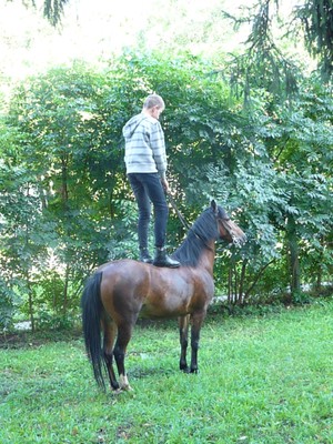 P1610355.JPG - small