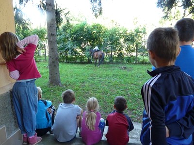 P1610371.JPG - small