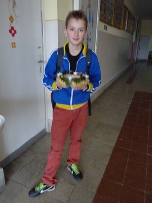 P1630222.JPG - small