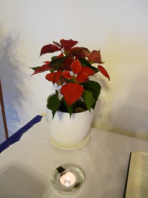 P1630643.JPG - small