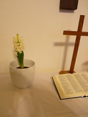 P1630854.JPG - small