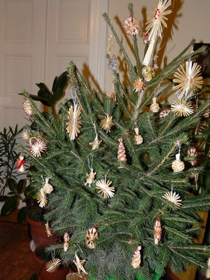 P1630856.JPG - small