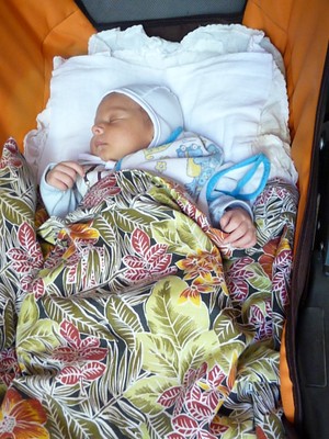 P1570662.JPG - small