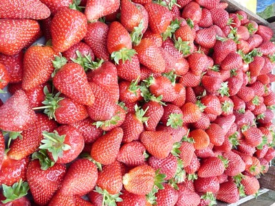 P1540730.JPG - small