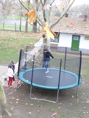 P1630032.JPG - small