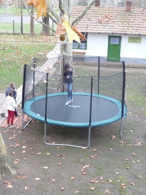 P1630033.JPG - small