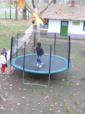 P1630034.JPG - small