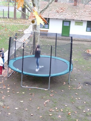 P1630035.JPG - small