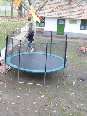 P1630036.JPG - small