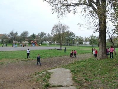 P1620517.JPG - small